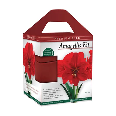 Holland Bulb Farms Premium Red Lion Amaryllis Kit
