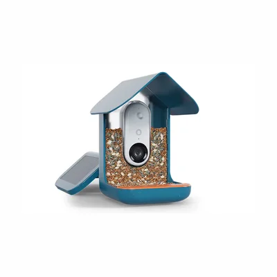 Mangiatoia smart solare con fotocamera Bird Buddy Pro