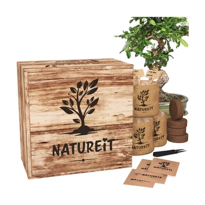 Kit de graines de bonsaï Natureit en coffret bois