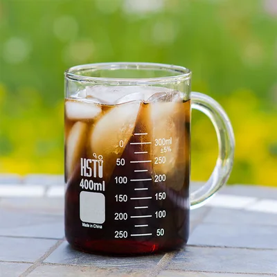 Home Science Tools Glass Beaker Mug with Handle