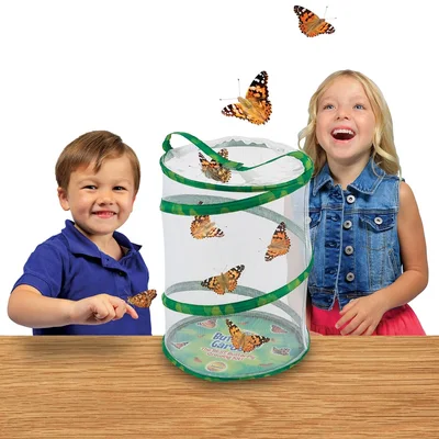Insect Lore Butterfly Garden with Live Caterpillars