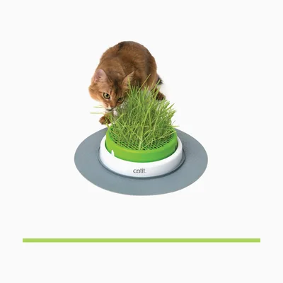 Catit Senses 2.0 Grass Planter