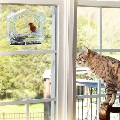 Leo's Paw Window Bird Feeder