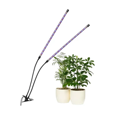 Carpathen LED-Pflanzenlampe mit Schwanenhals