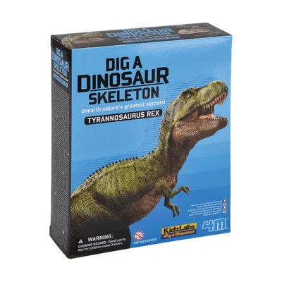 4M KidzLabs Dig a Dinosaur Skeleton