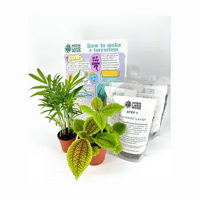 Highland Moss Kokedama-Set zum Selbermachen