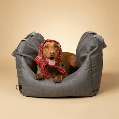 Pet Awesome Dog Booster Car Seat