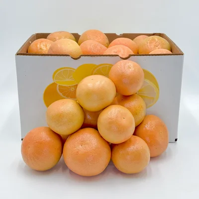 New River Groves Florida-Zitrusfrüchte-Geschenkbox