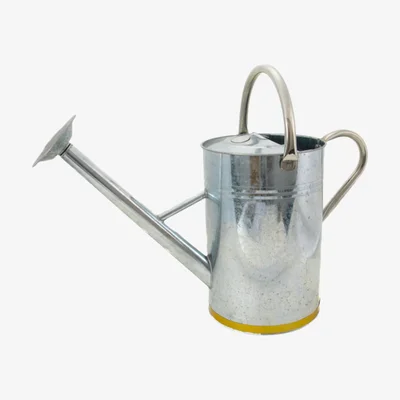 Kent & Stowe 9L Galvanised Watering Can