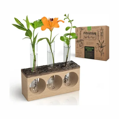 Estación de propagación de plantas Organo Republic