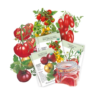 Set semi di pomodori antichi Botanical Interests