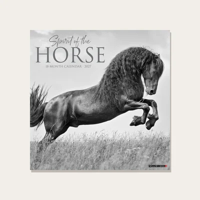Calendario Willow Creek Press Spirit of the Horse 2027
