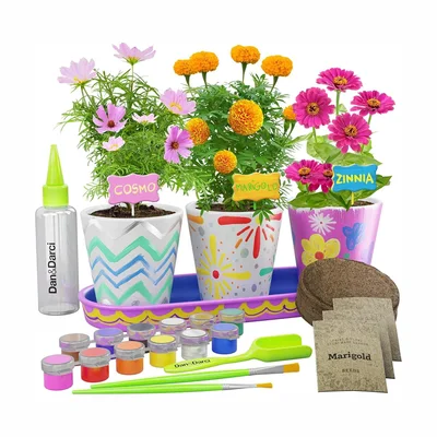 Dan&Darci Paint & Plant Flower Growing Kit
