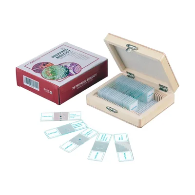 AmScope Prepared Microscope Slide Set