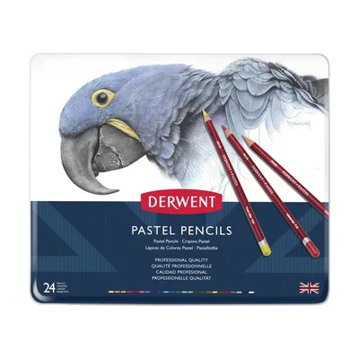 Matite pastello Derwent, latta da 24