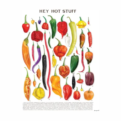 CarynCast „Hey Hot Stuff“ Chili-Poster