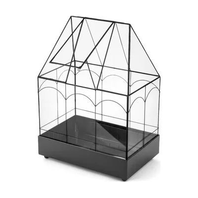 H Potter großes Glasterrarium im Wardian-Stil