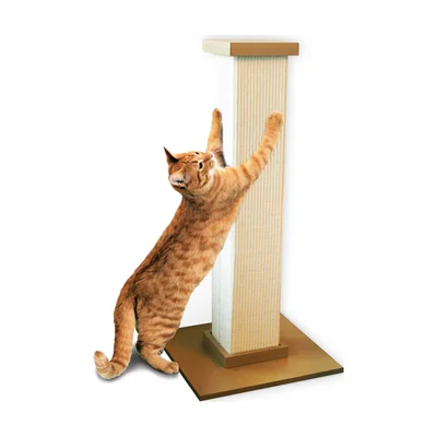 SmartCat The Ultimate Scratching Post