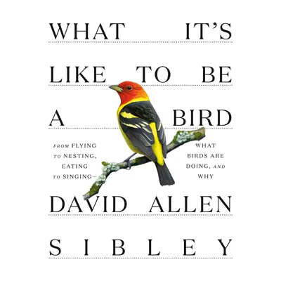 „What It’s Like to Be a Bird“ von David Sibley