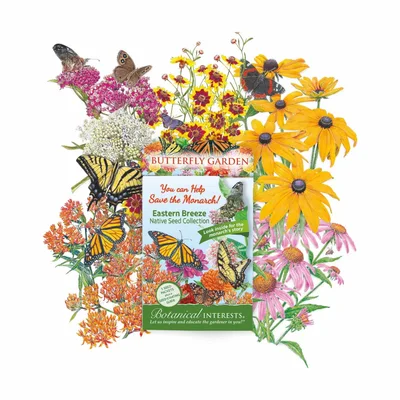 Botanical Interests Eastern Breeze Butterfly Gift Set